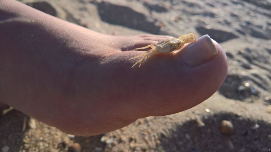 butjarding nackt am Strand