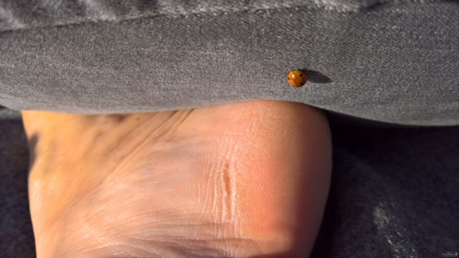 butjarding nackt am Strand