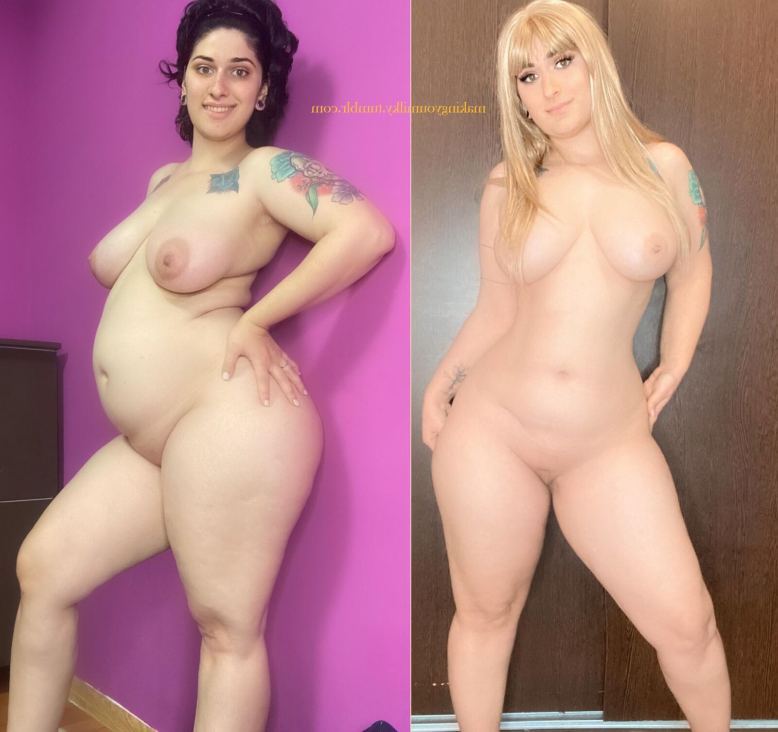 Pregnant Transformations, Part 24