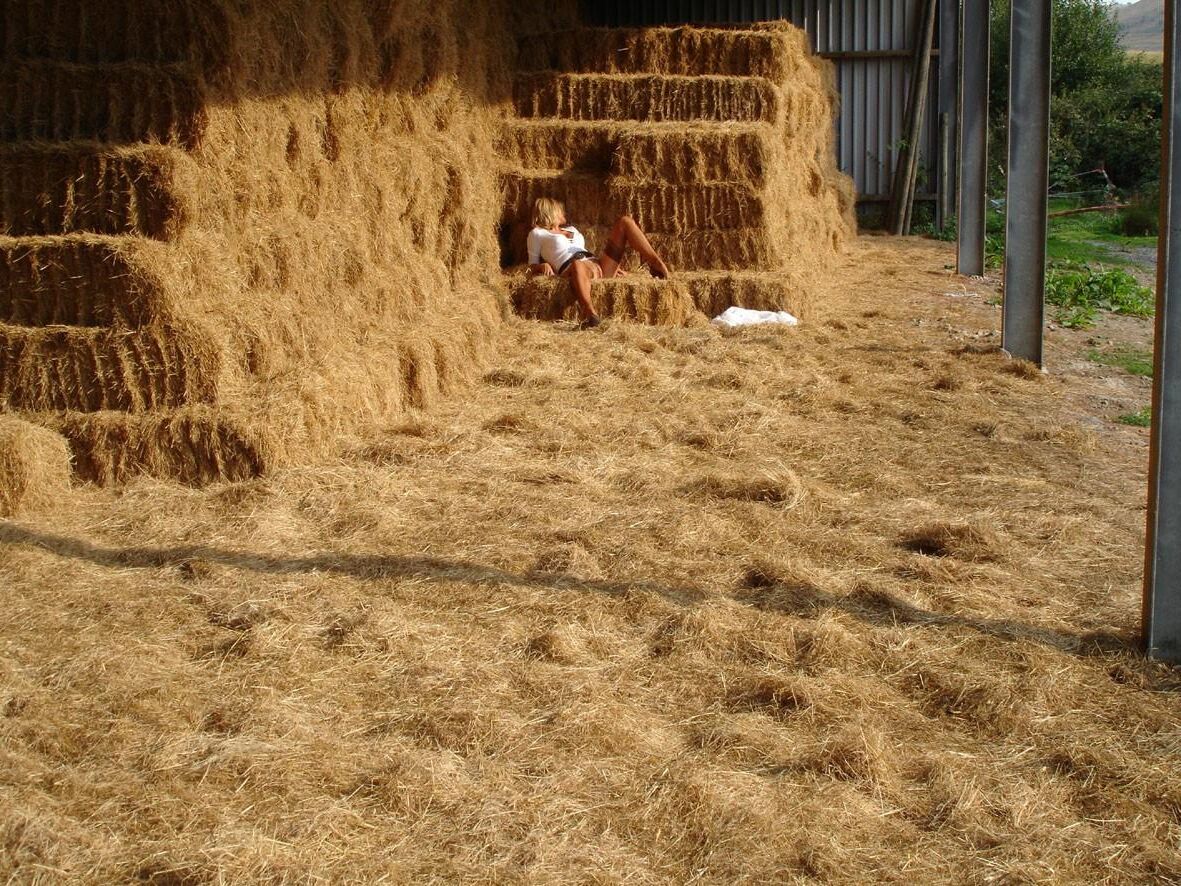 Schüchterne Linda B