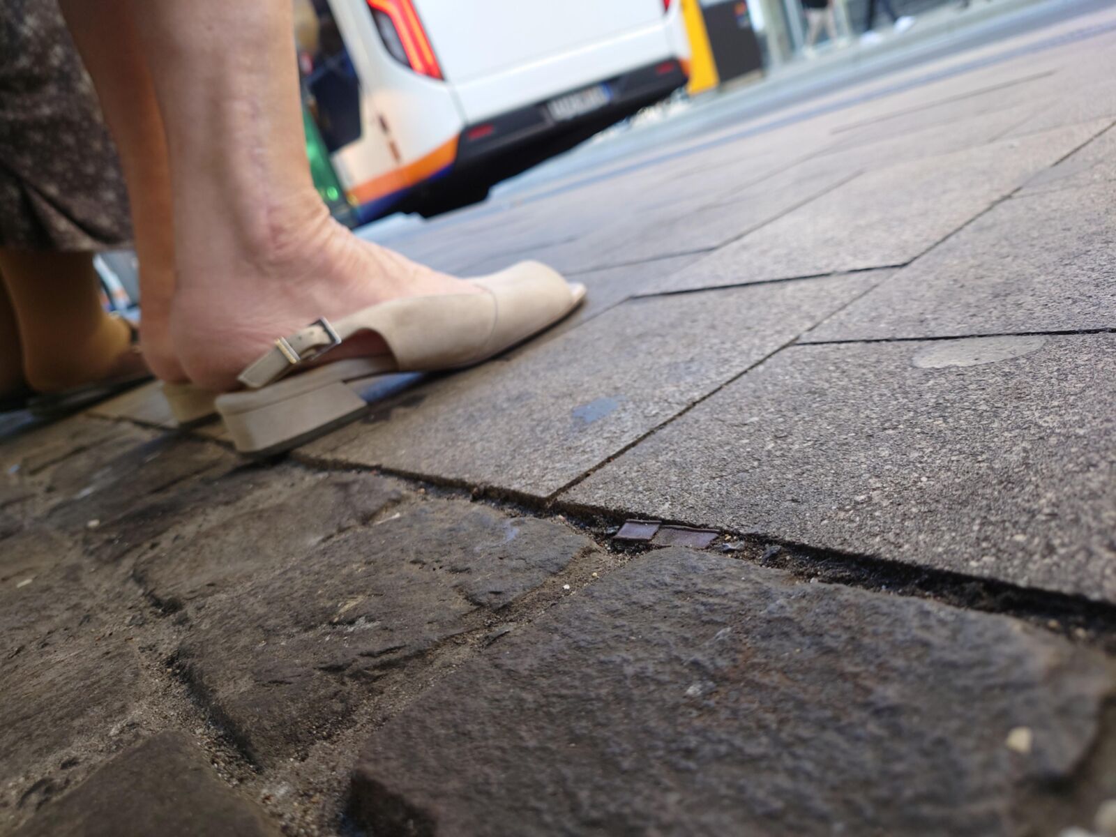 Pieds matures rugueux de Mayence