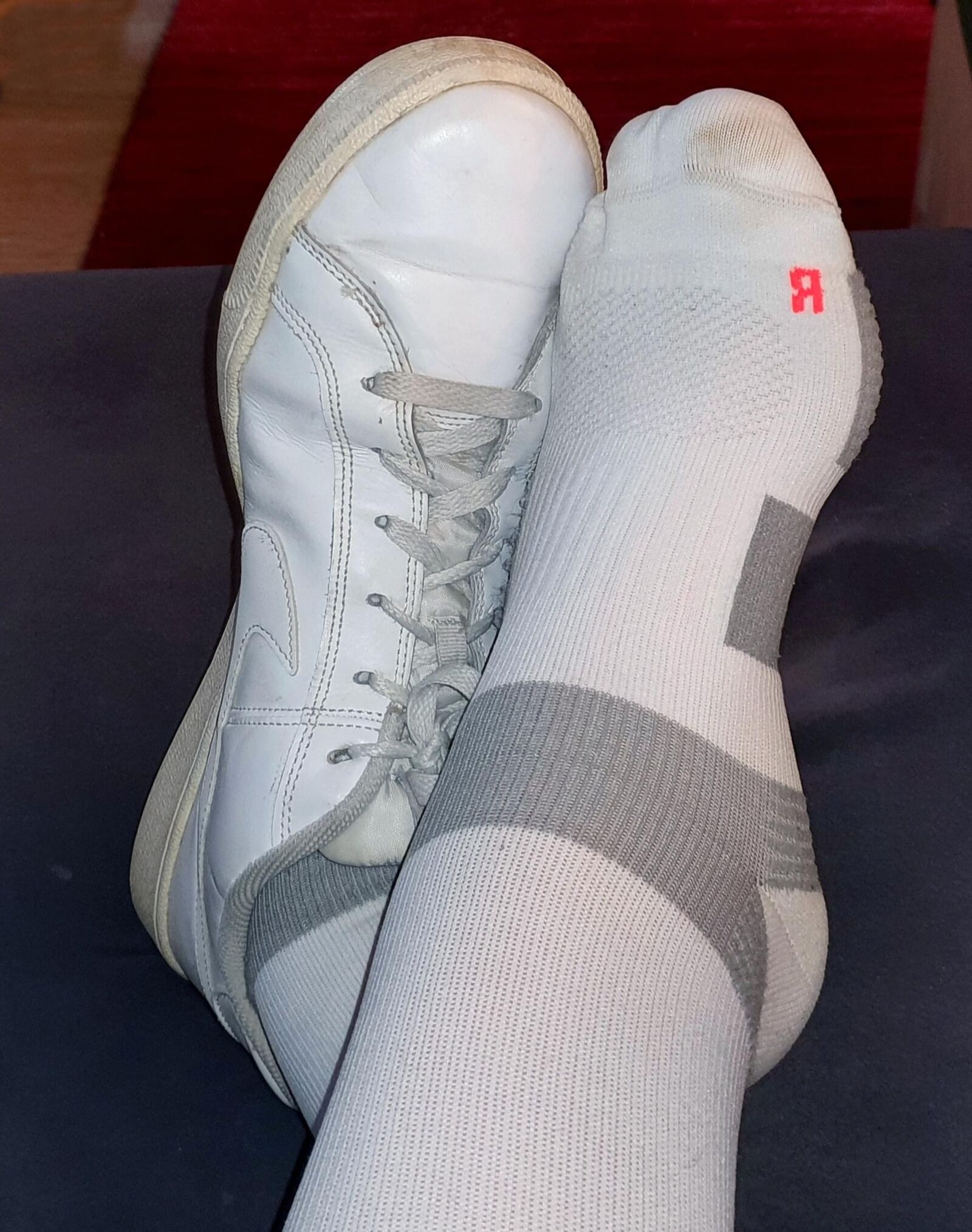 Sneaker-Socken 24 09 01