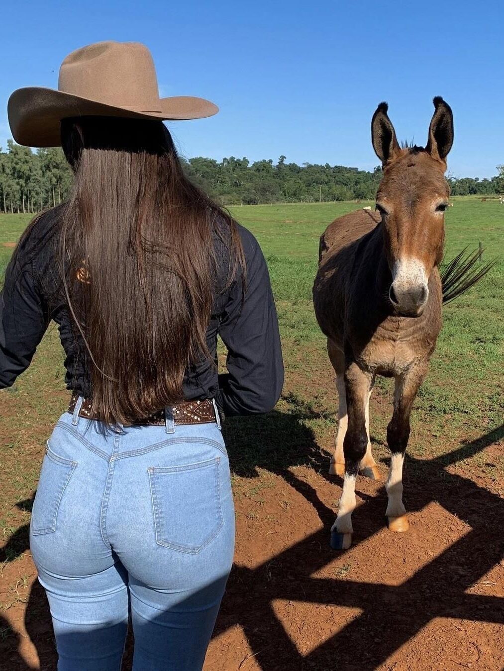 Meninas gostam de animais