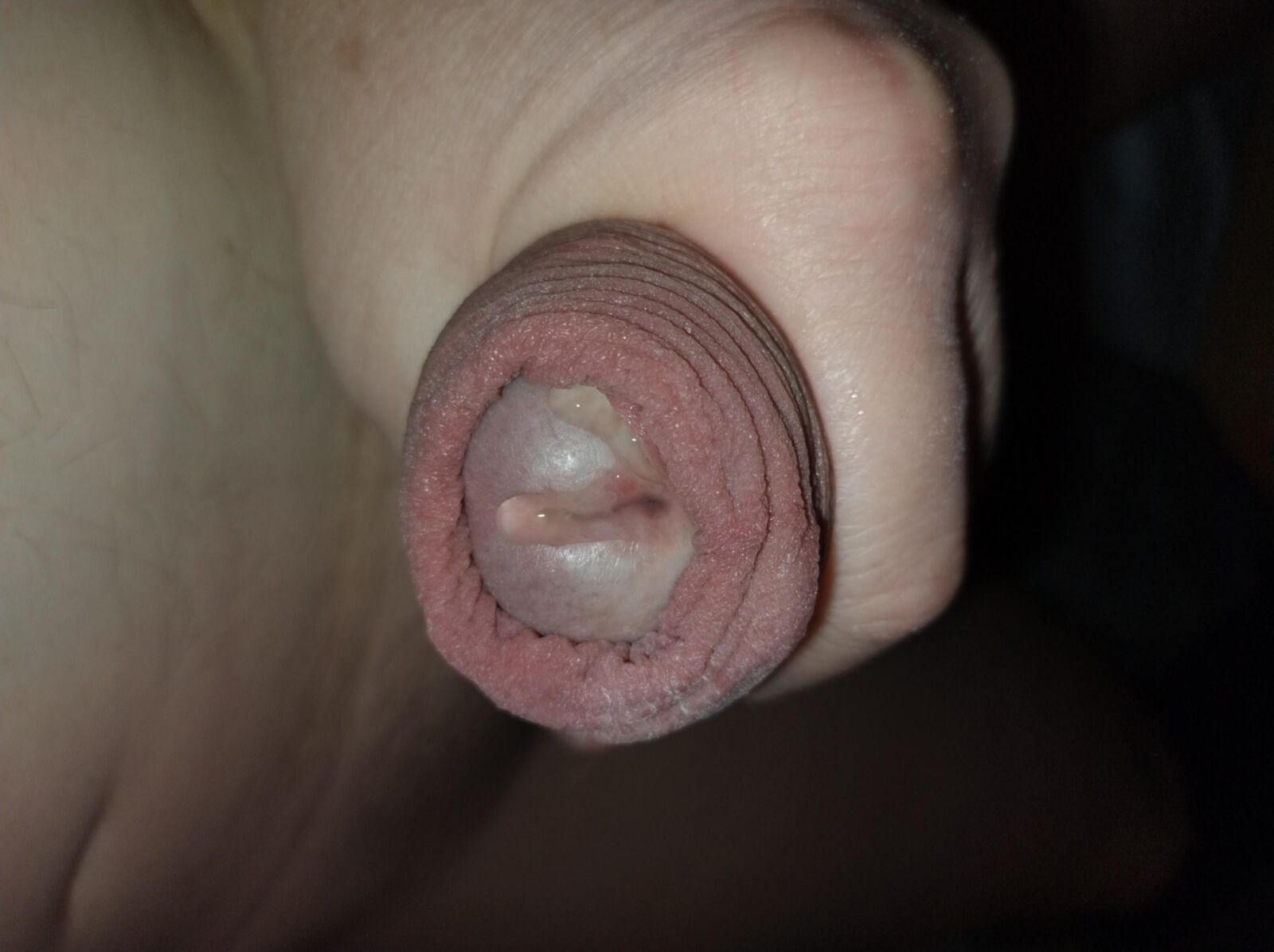 ICH ICH SCHWANZ PENIS ALT HÄSSLICH