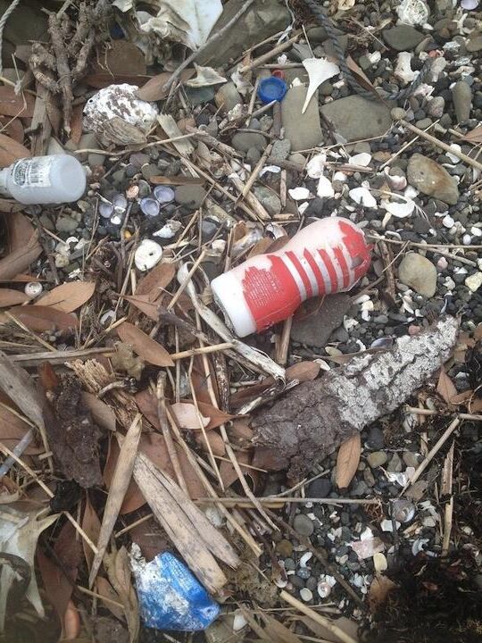 Toys in the trash ( Fleshlight Tenga Dildo Dolls ... )