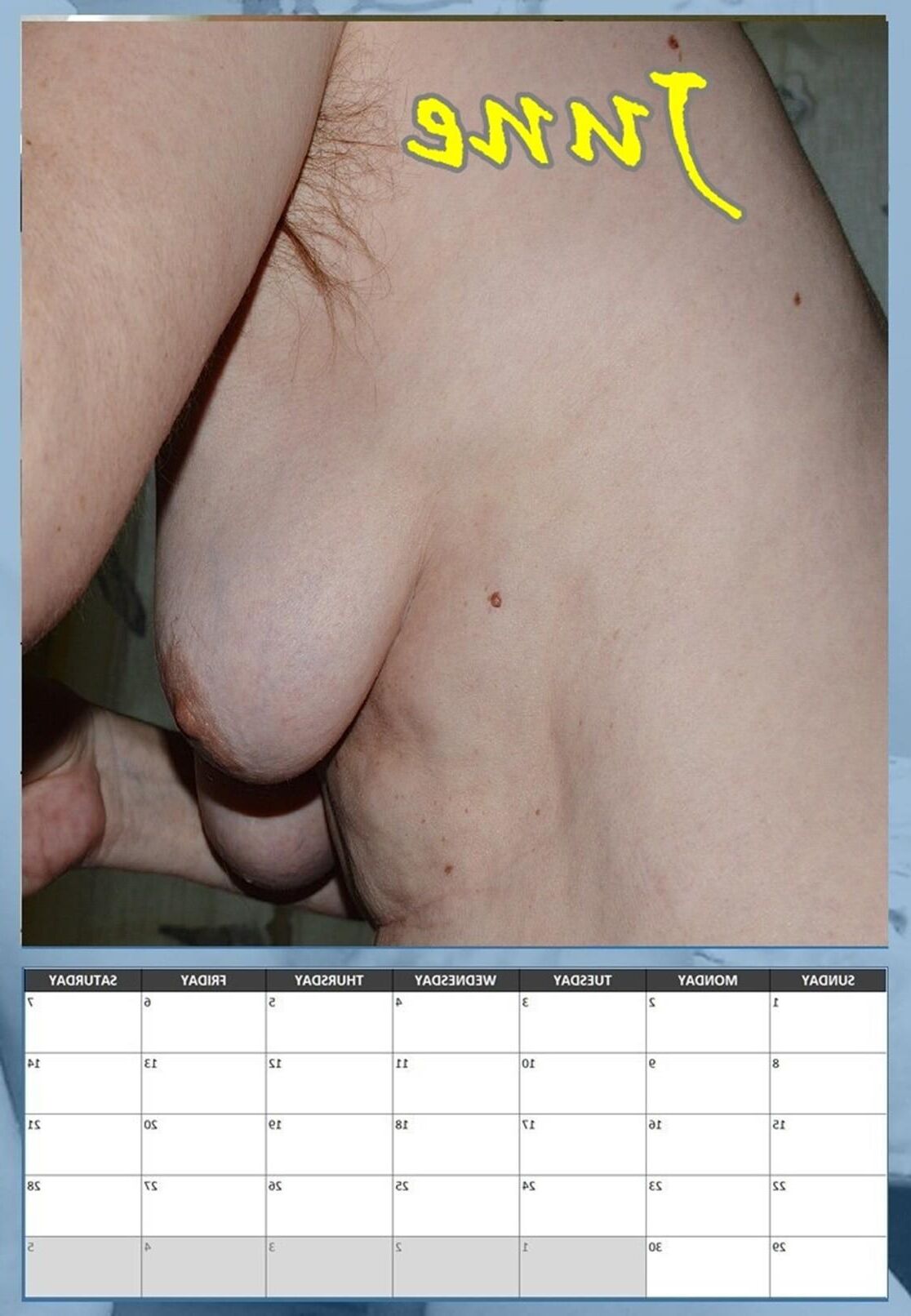 Susanne's Hanging Tits Calendário