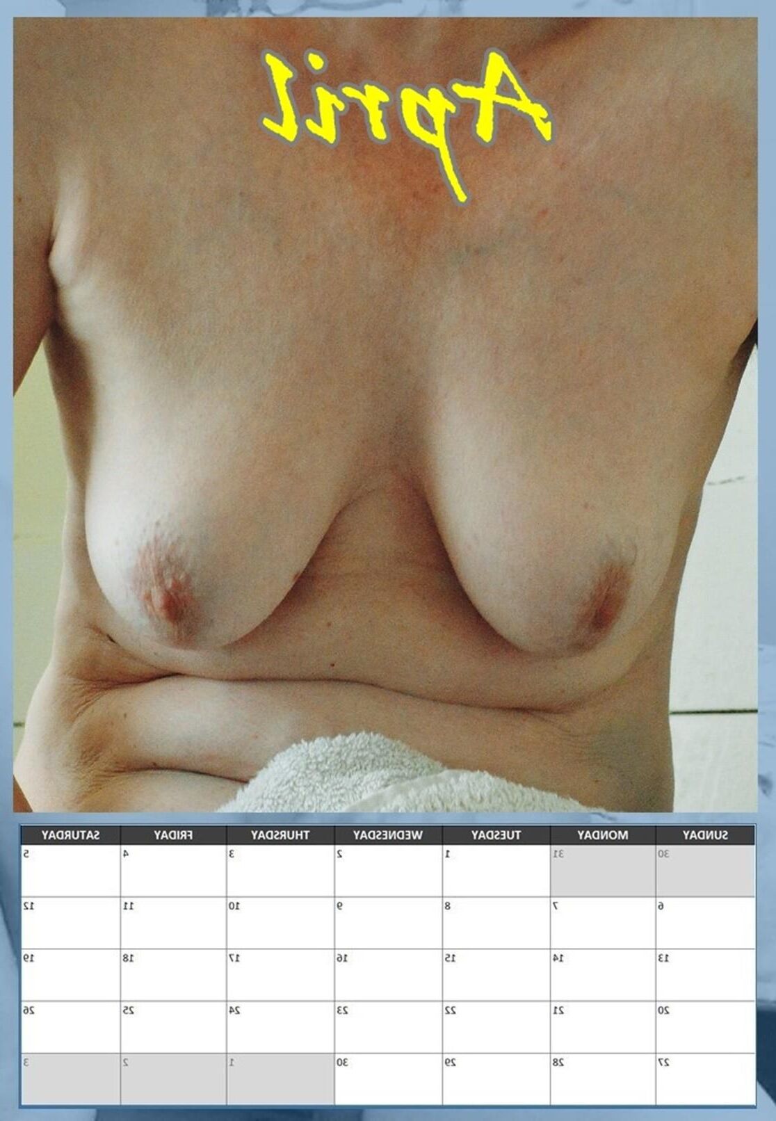 Susanne's Hanging Tits Calendário