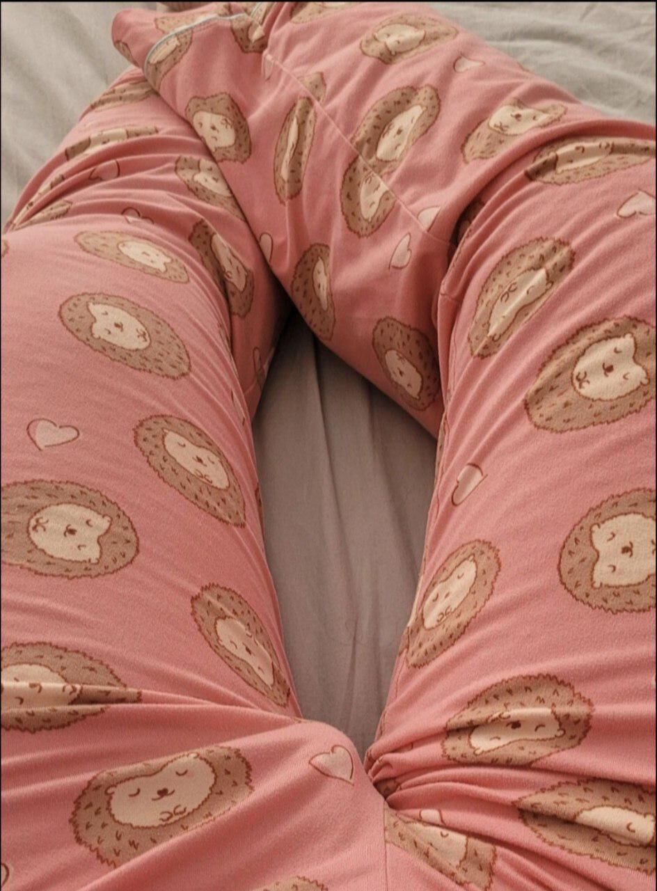 Meus pijamas de ouriços