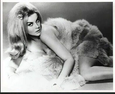 Fur Babes