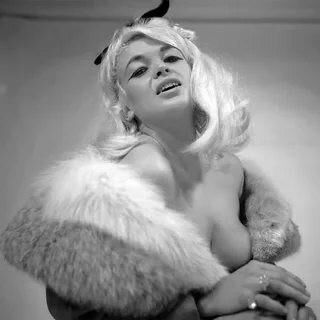 Fur Babes
