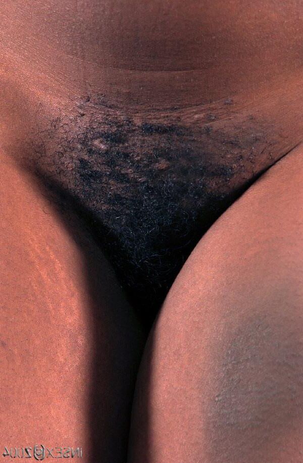 Insex tests