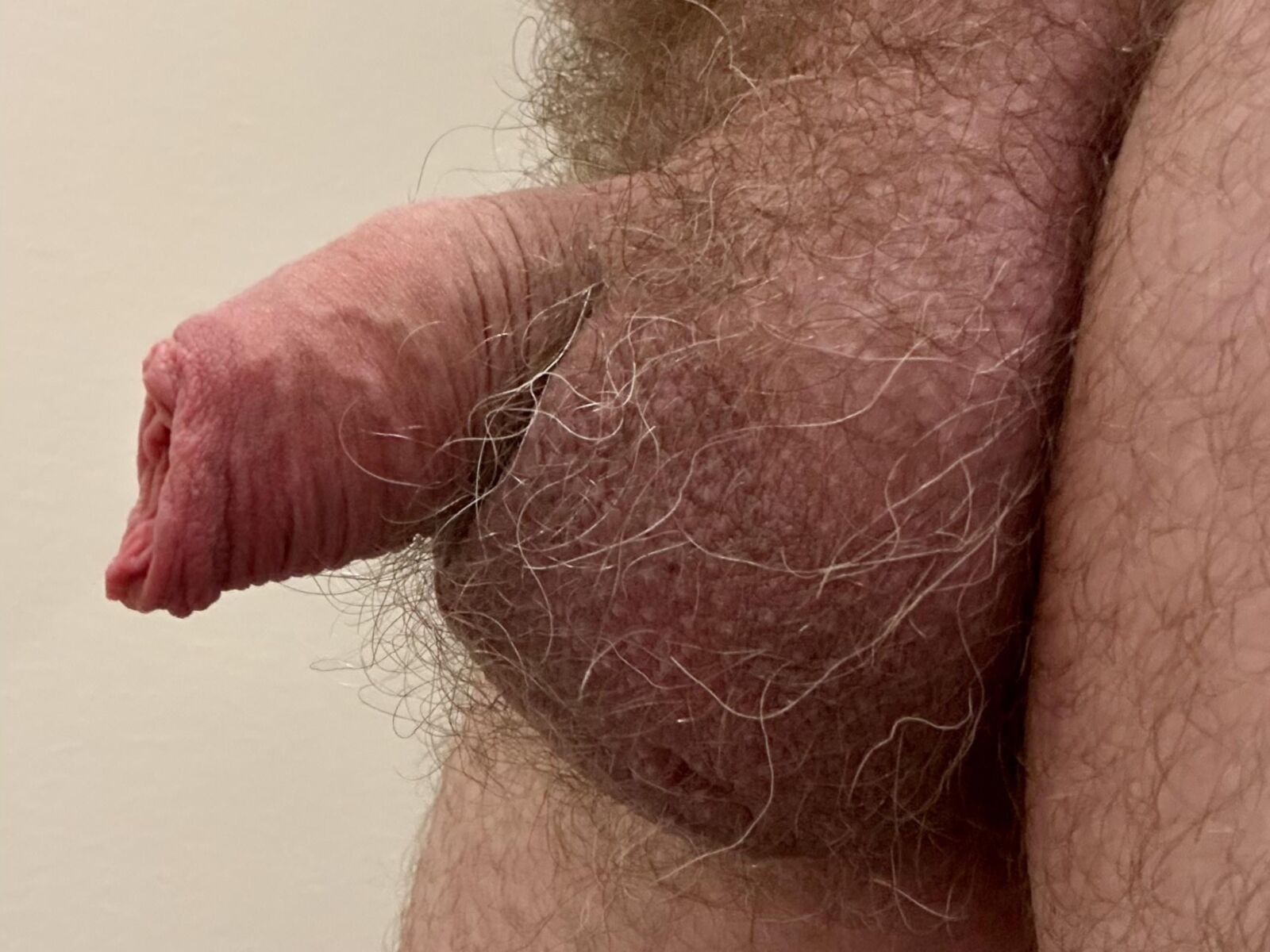 Ma douce bite non coupée avec mon long prépuce doux