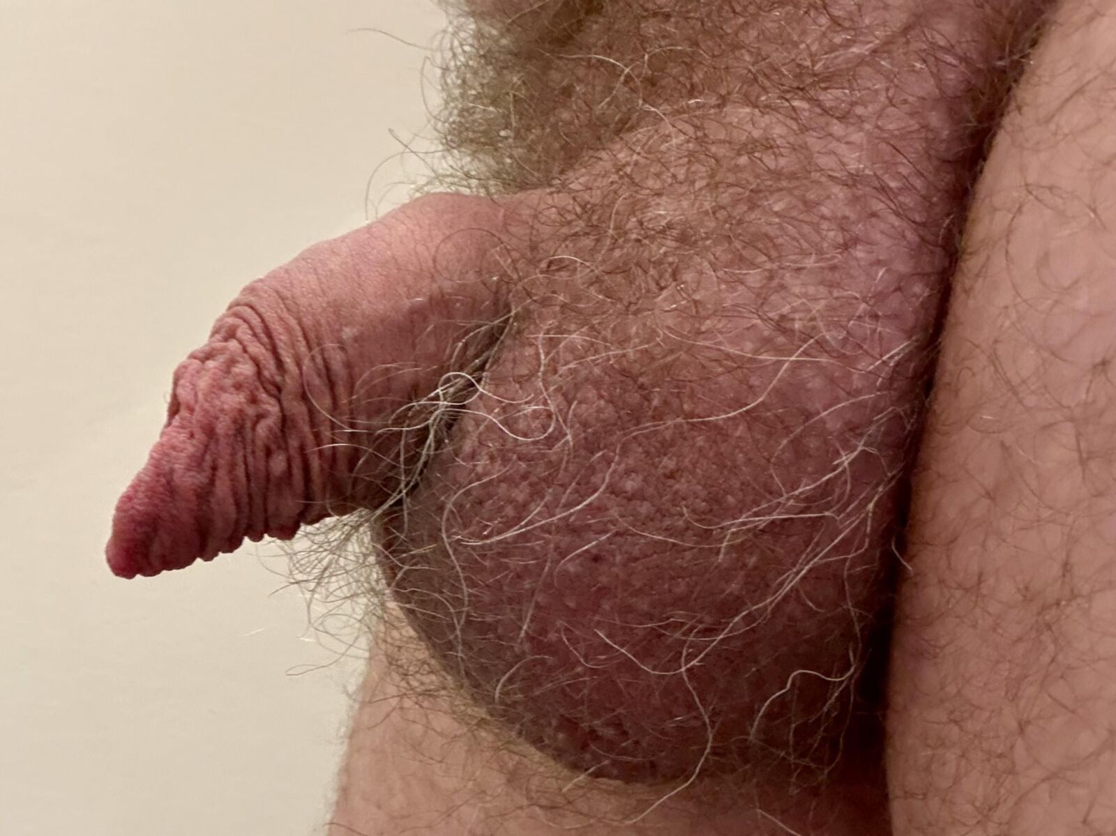 Ma douce bite non coupée avec mon long prépuce doux