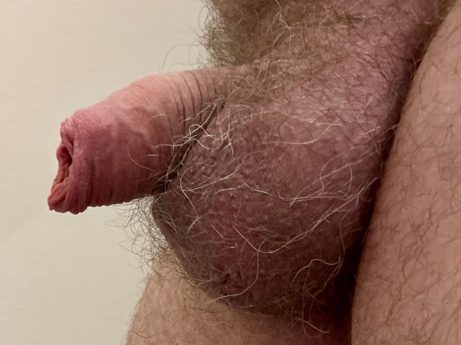 Ma douce bite non coupée avec mon long prépuce doux