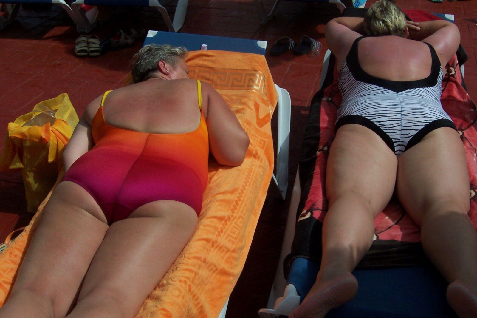 Belos gilfs descansando na piscina