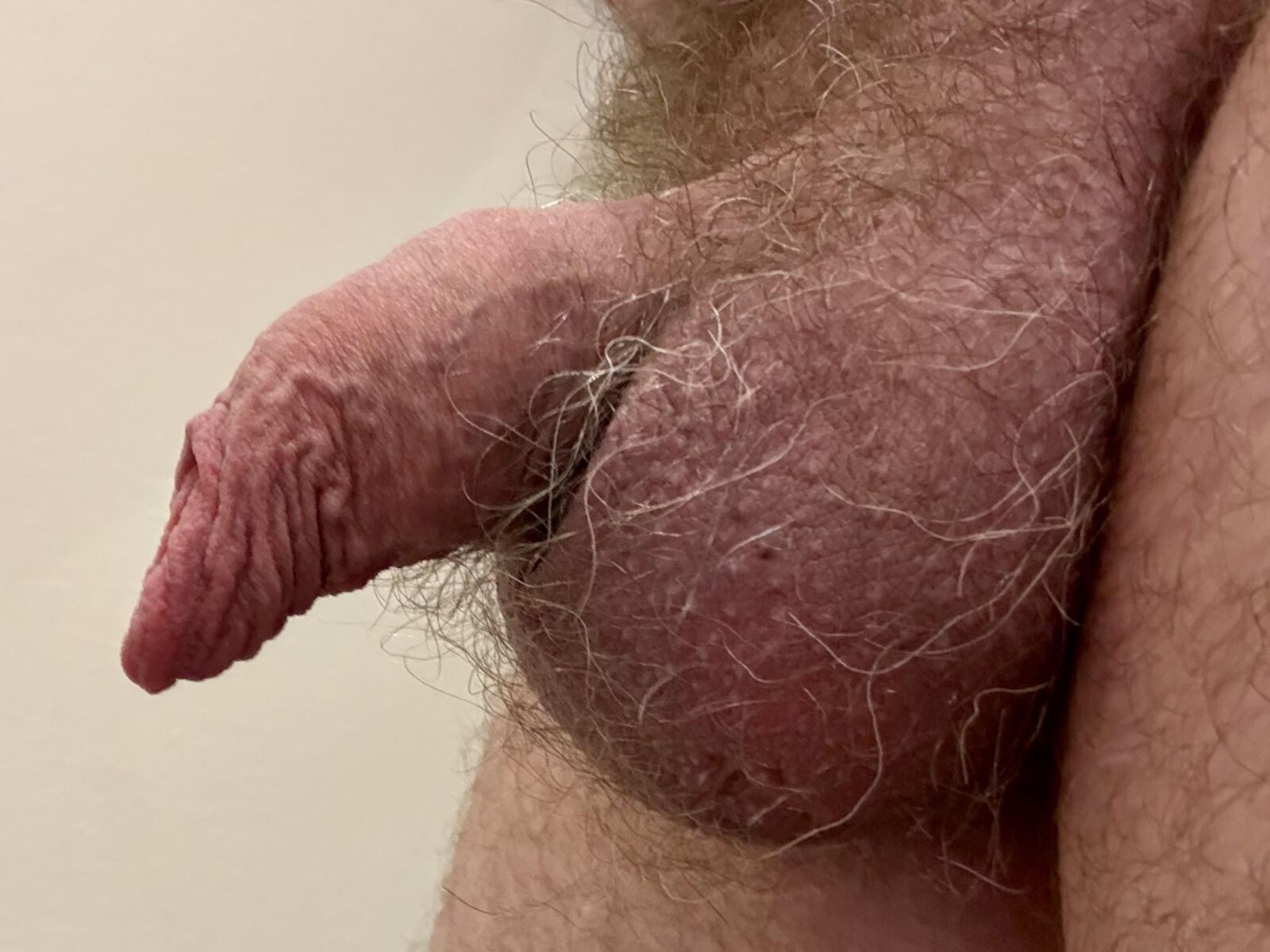 Ma douce bite non coupée avec mon long prépuce doux