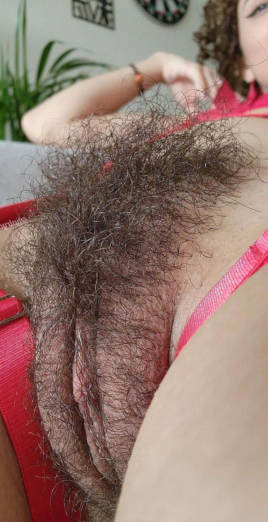 Primer plano calientes y peludos