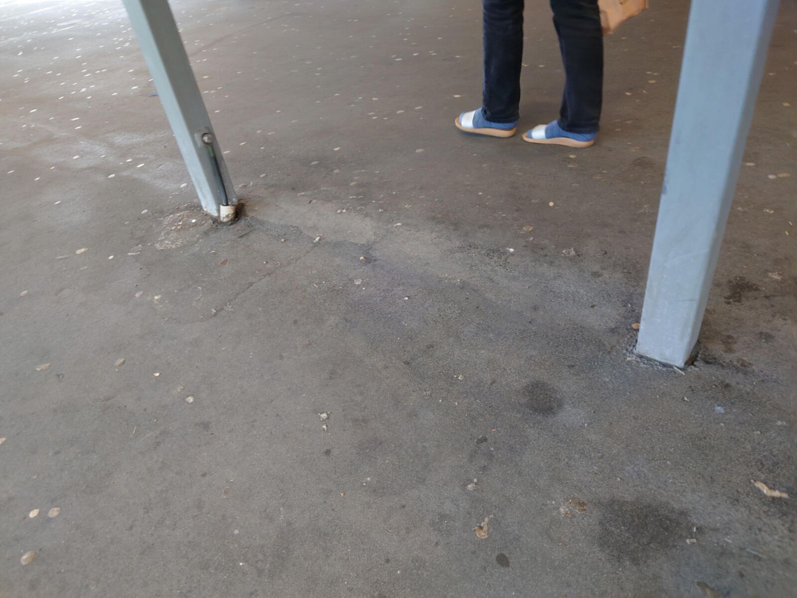 My Gallery: Mature Turkish SockFeet Sandal Skillz