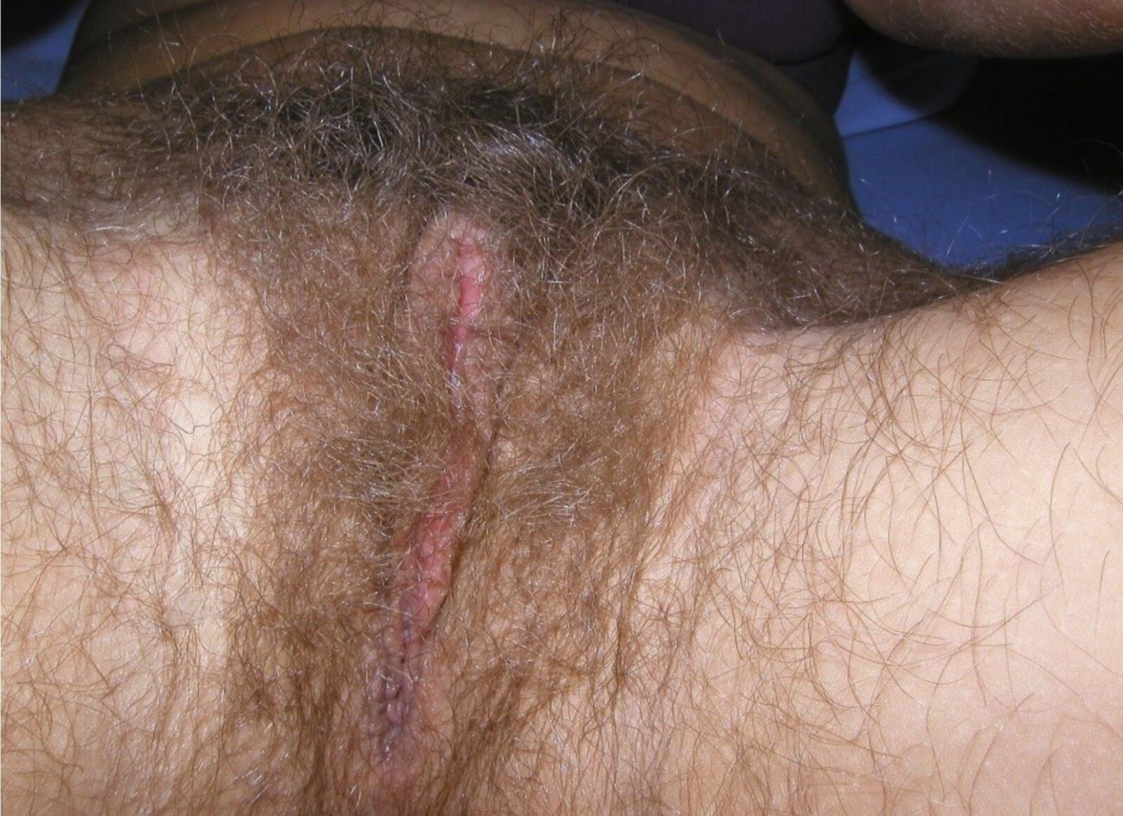 Primer plano calientes y peludos