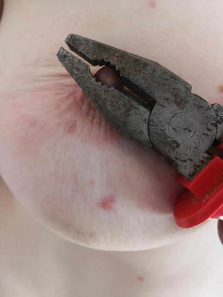 Toys pour les seins III: pinces