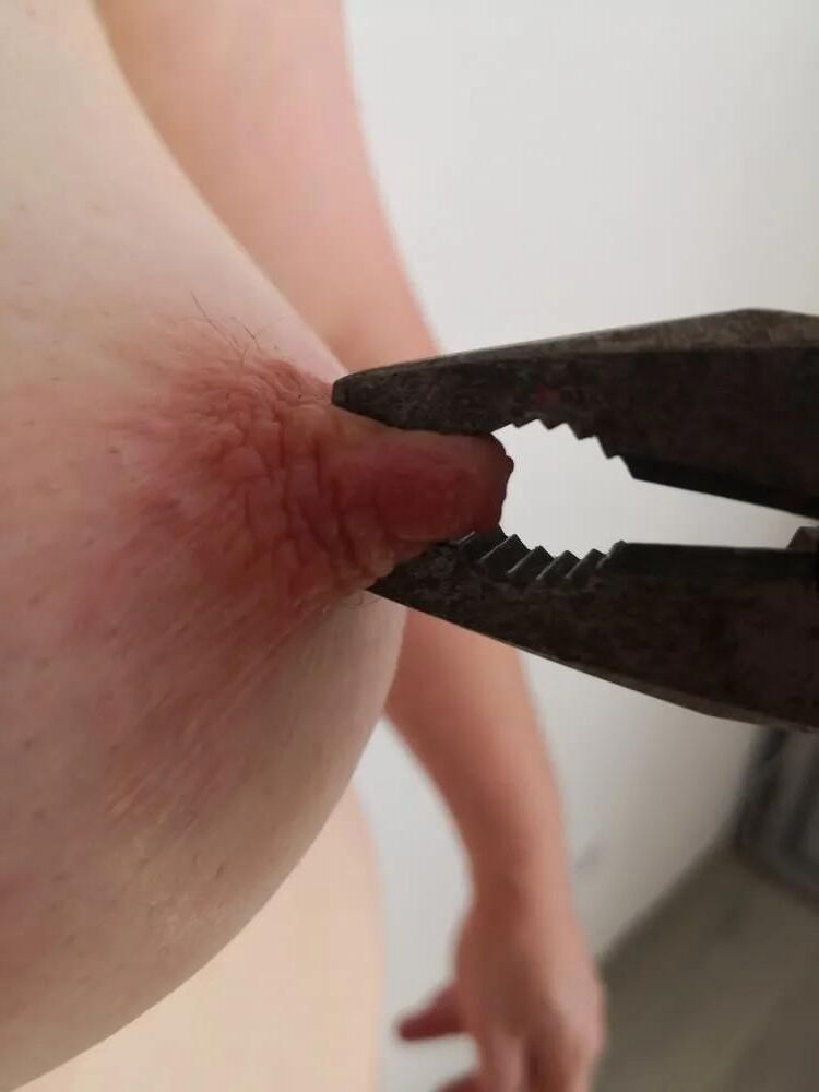 Toys pour les seins III: pinces
