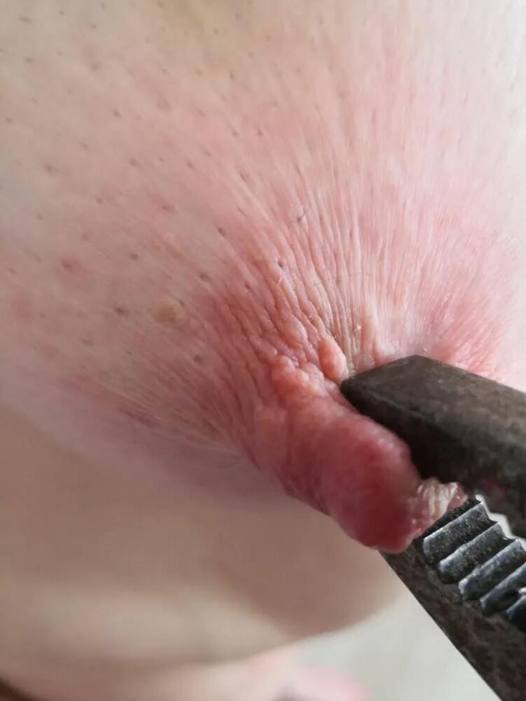 Toys pour les seins III: pinces