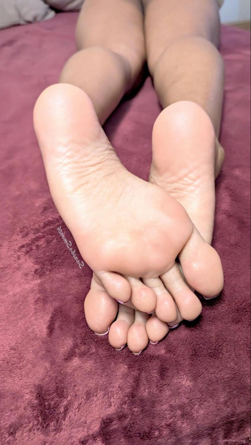 Saashas Desi Bogen