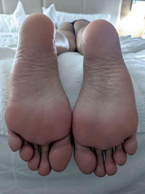 Saashas Desi Bogen