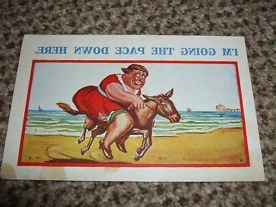 RIDING DONKEY FUN BEACH PLAY