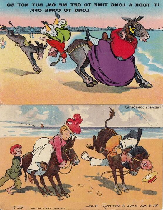 RIDING DONKEY FUN BEACH PLAY