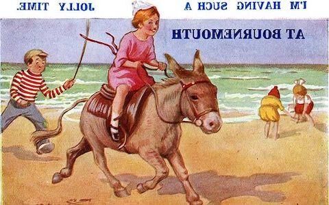 RIDING DONKEY FUN BEACH PLAY