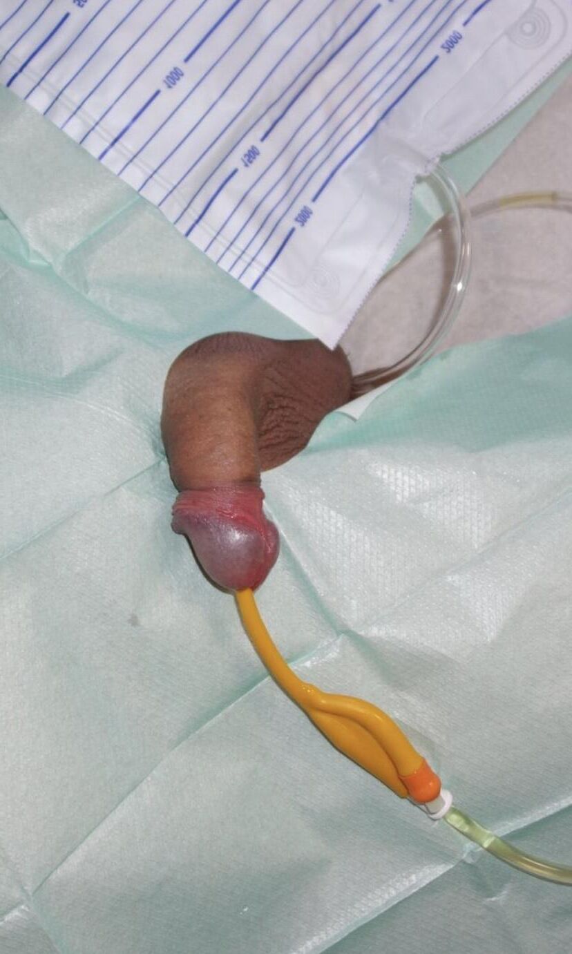 Órdenes de los médicos.