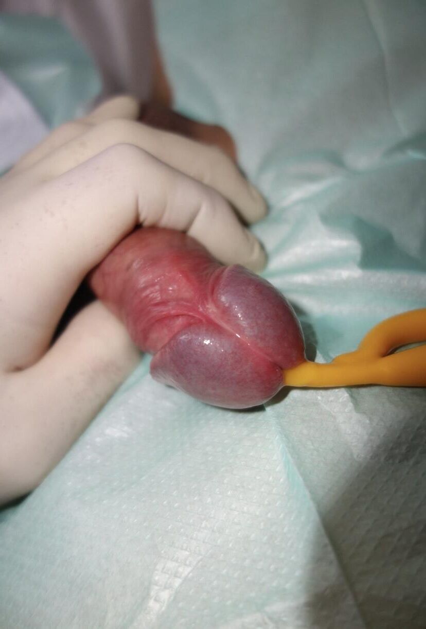 Órdenes de los médicos.