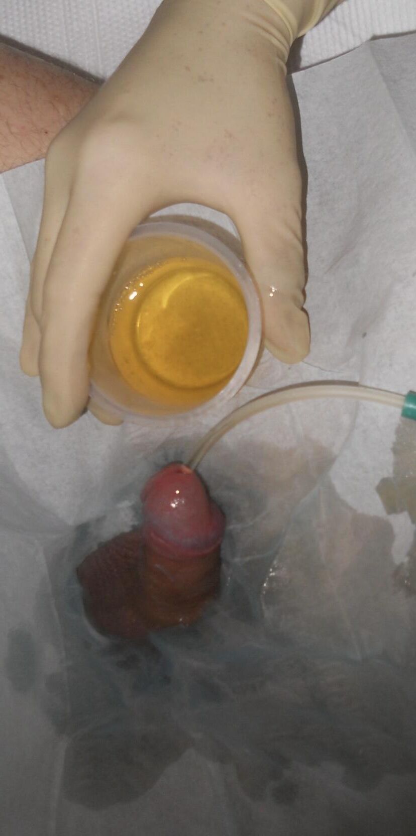 Órdenes de los médicos.