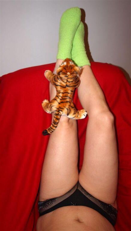 Mis calcetines