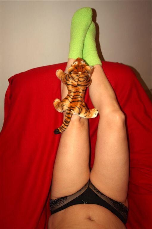 Mis calcetines