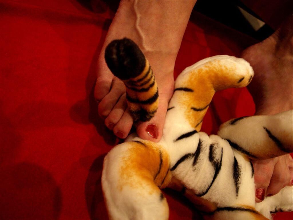 Mis calcetines