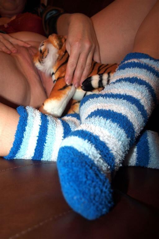 Mis calcetines