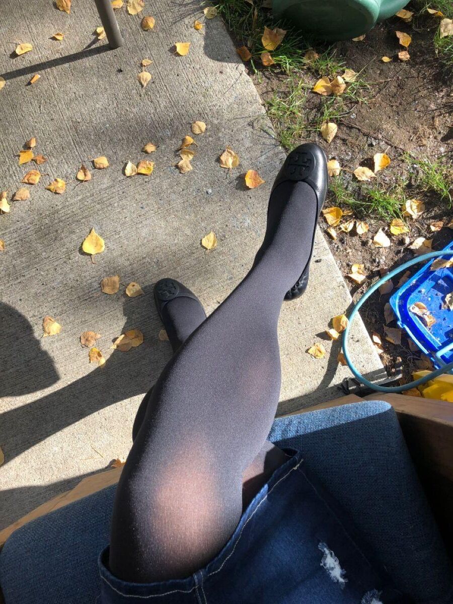 Leggy Delights