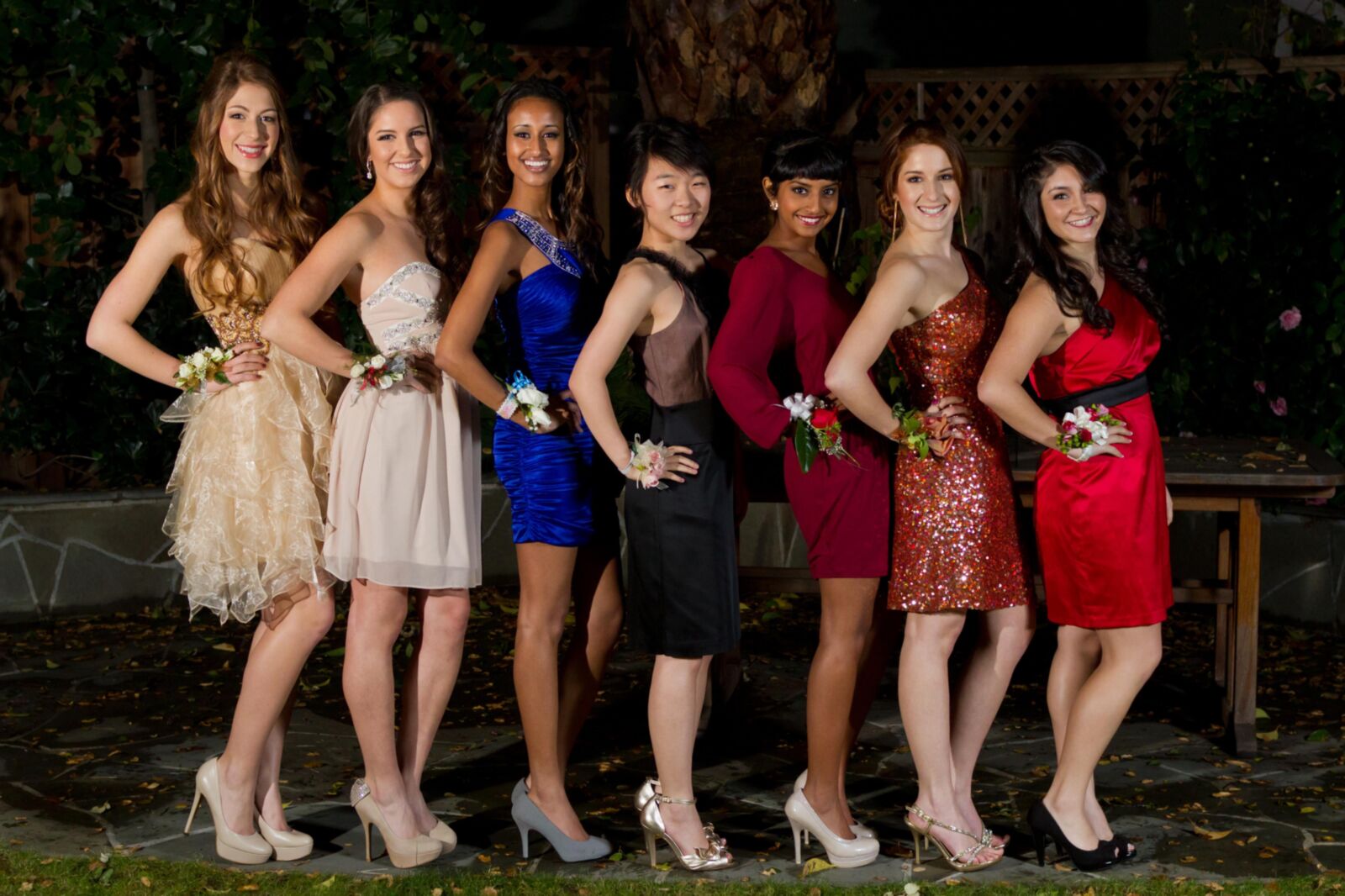 Party girls 