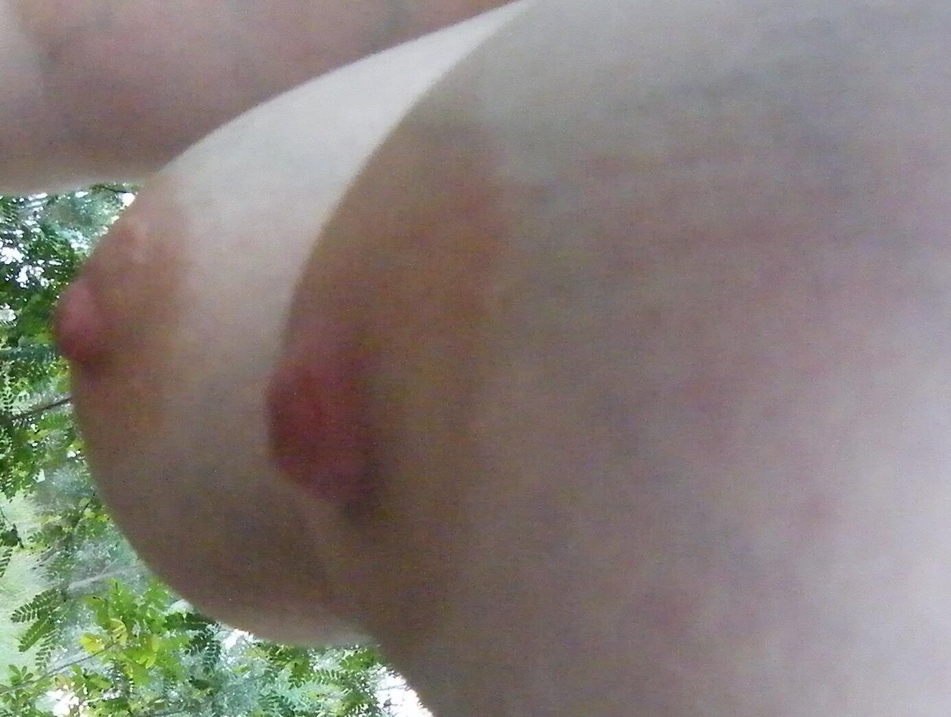 Homegrown Big Tits in your face.
