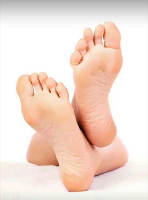 Feet and legs 