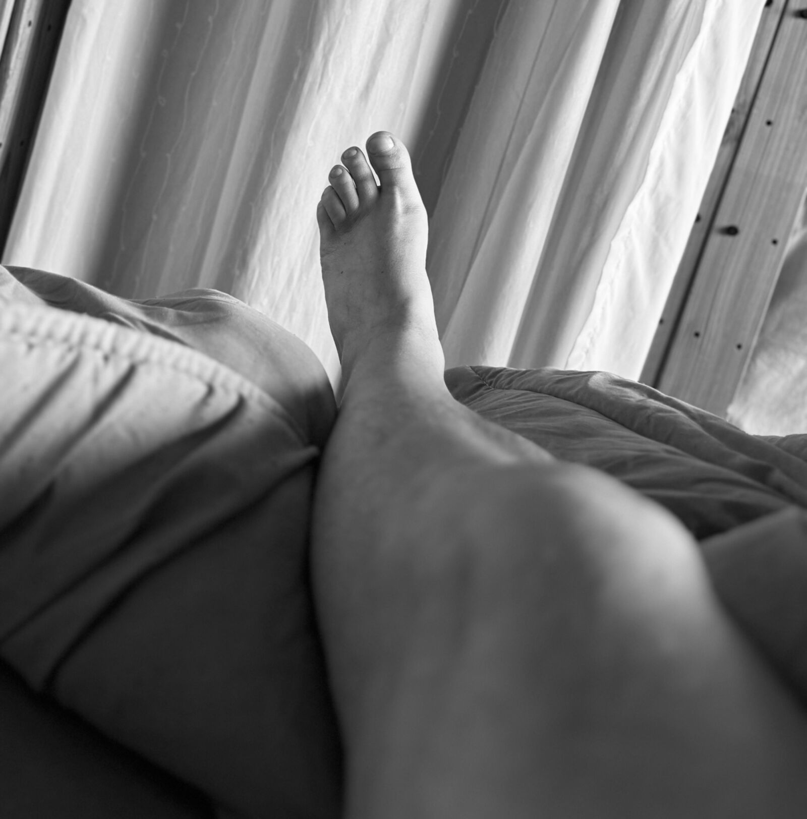 Parte de los viejos peludos