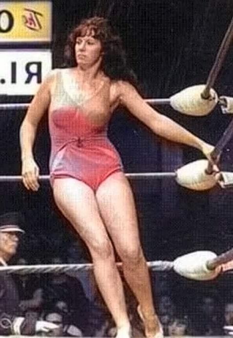 Lucha contra las putas