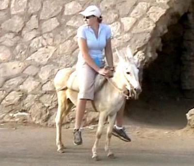 PONY RIDING 
