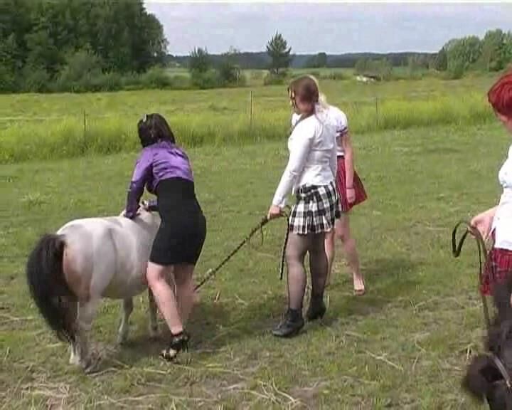 PONY RIDING 