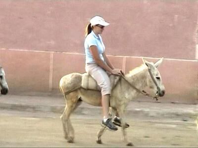 PONY RIDING 