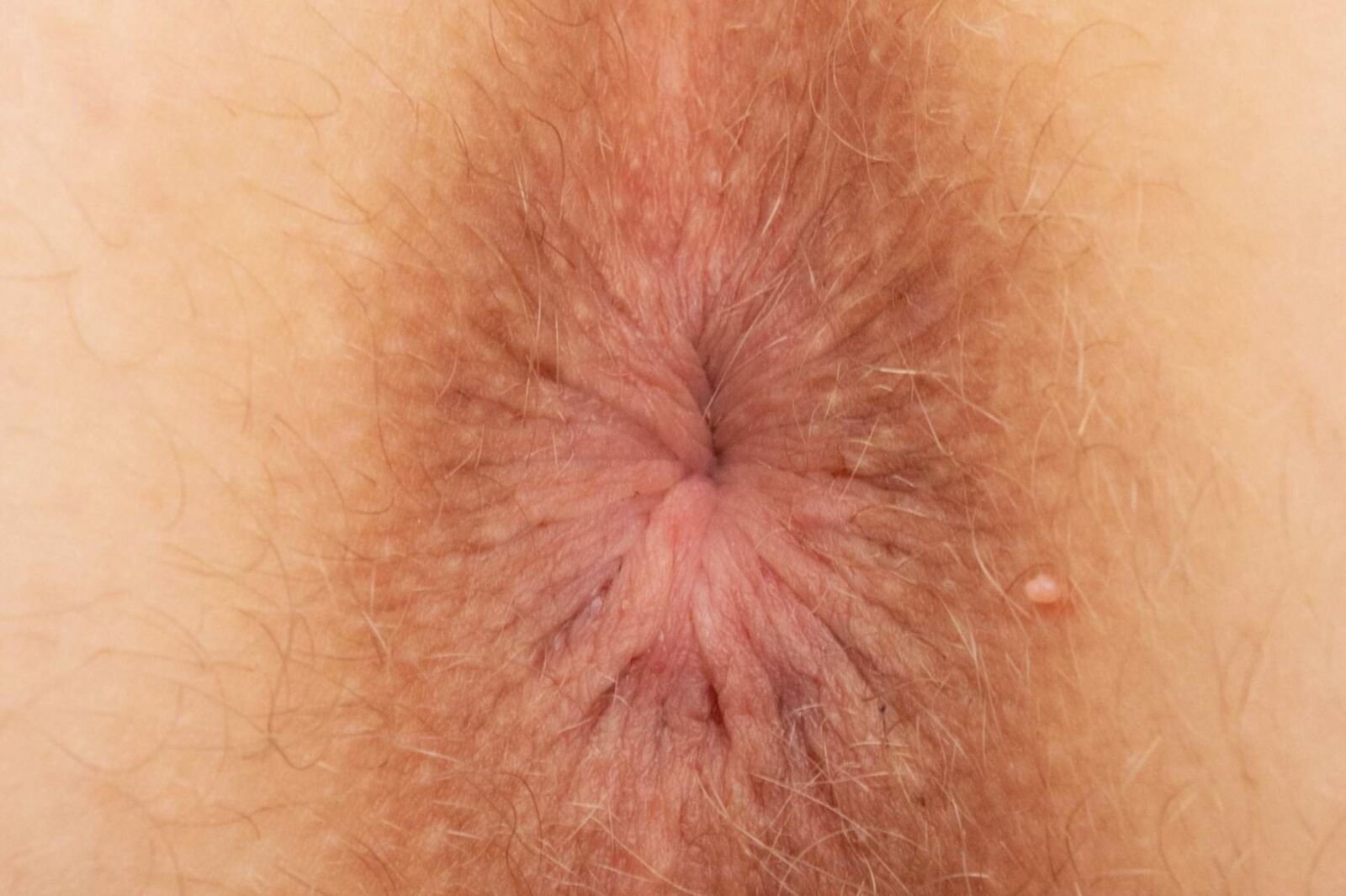 HD Female Asshole Closeups #