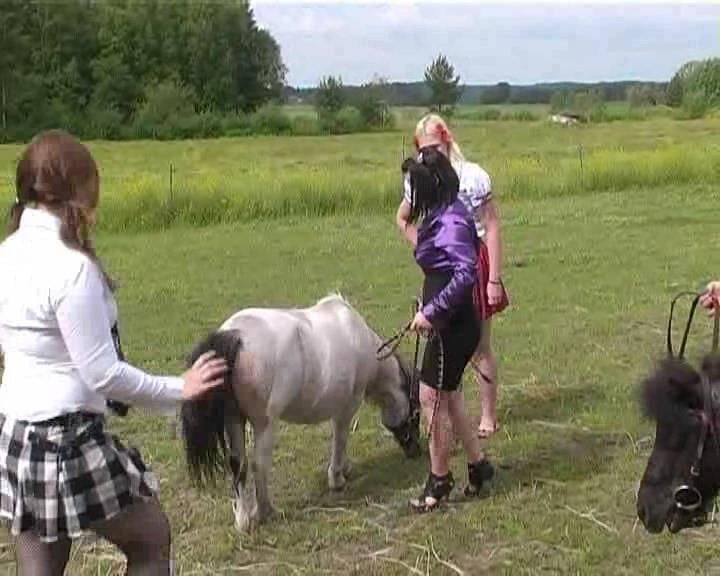PONY RIDING 