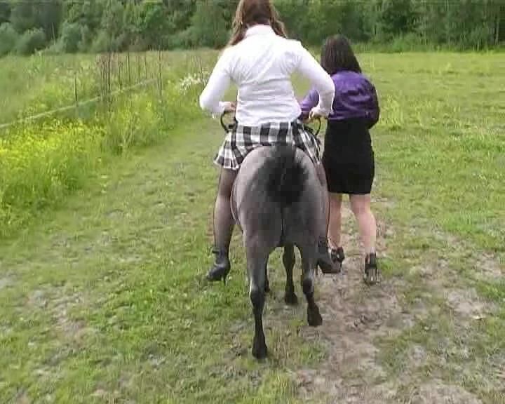 PONY RIDING 